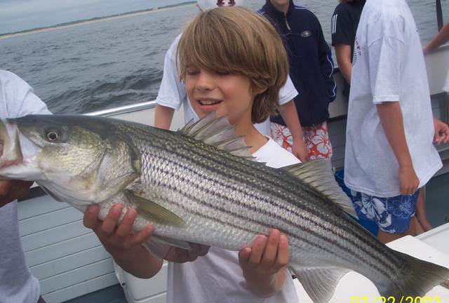 Striped bass caught aboard the Erica Lee II.