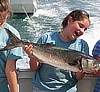 Bluefish caught aboard